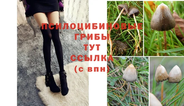 мдма Пересвет