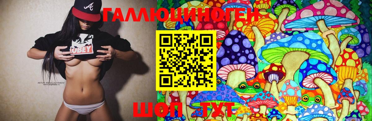 Псилоцибиновые грибы мицелий Стрежевой