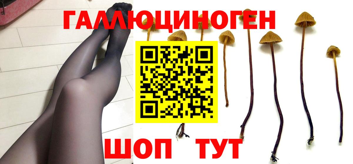 Галлюциногенные грибы Magic Shrooms  Стрежевой 